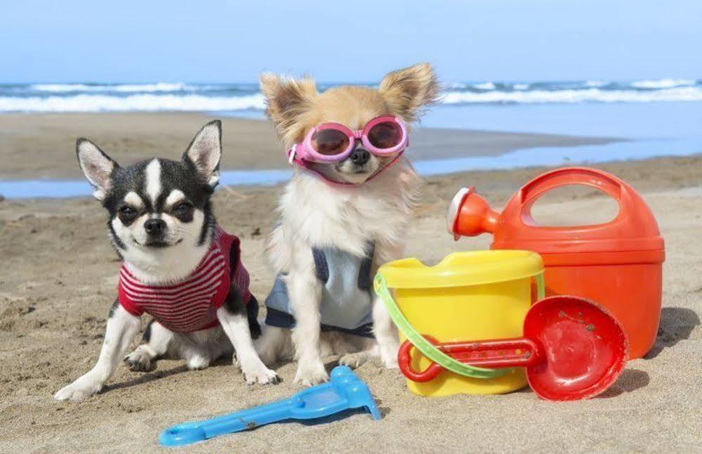Enjoy Apart Centro Y Playa Victoria 말라가 외부 사진